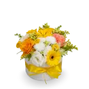 Box žlutých květin